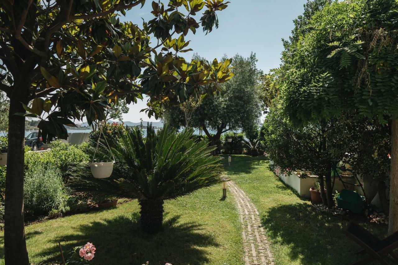 Apartments Lucija Zadar Exterior foto